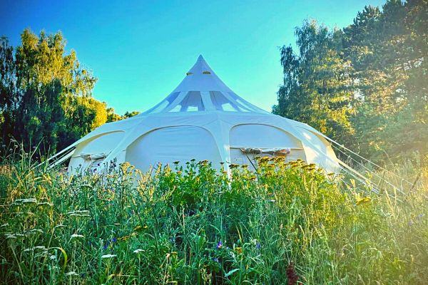 Stargazer hos Keltisk Svedehytte